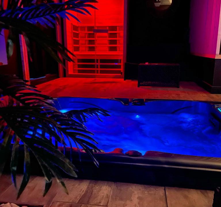 Saint-Martin-d'Heres Hotel | La suite Grenoble spa jacuzzi et sauna privatif