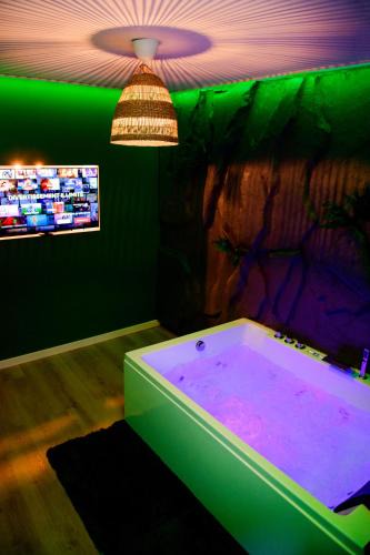 Sury-le-Comtal Apartment | La suite Oasis