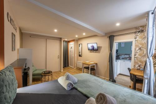Riom Apartment | LE CATELE - Studio RIOM - 3 pers - Vulcania - Puy de Dôme - Proche Clermont Ferrand