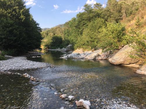 Saint-Etienne-Vallee-Francaise House | Les soliéges de la cascade - parc des cévennes