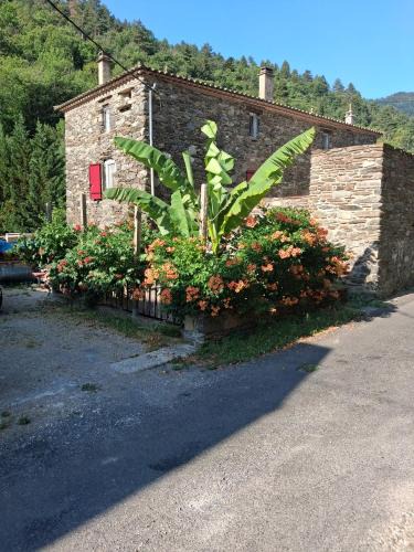 Saint-Andre-de-Valborgne House | Le mas des Anglades