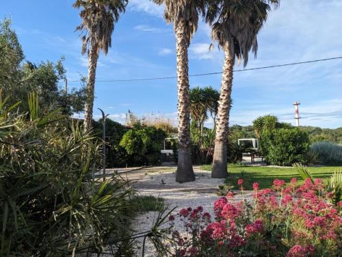 Baho Bed & Breakfast | Le Mas Del Cavalier