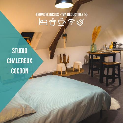 Chateauroux Apartment | Le Nid Cocoon Netflix Proche Centre-Ville