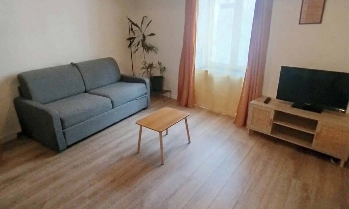Bourgogne Apartment | Le Petit Cocon in Downtown Orléans