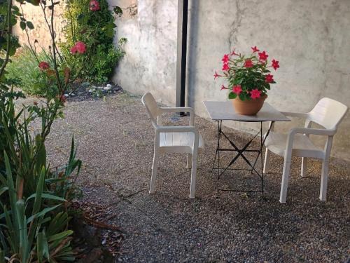 Vichy Apartment | Le petit Duchon