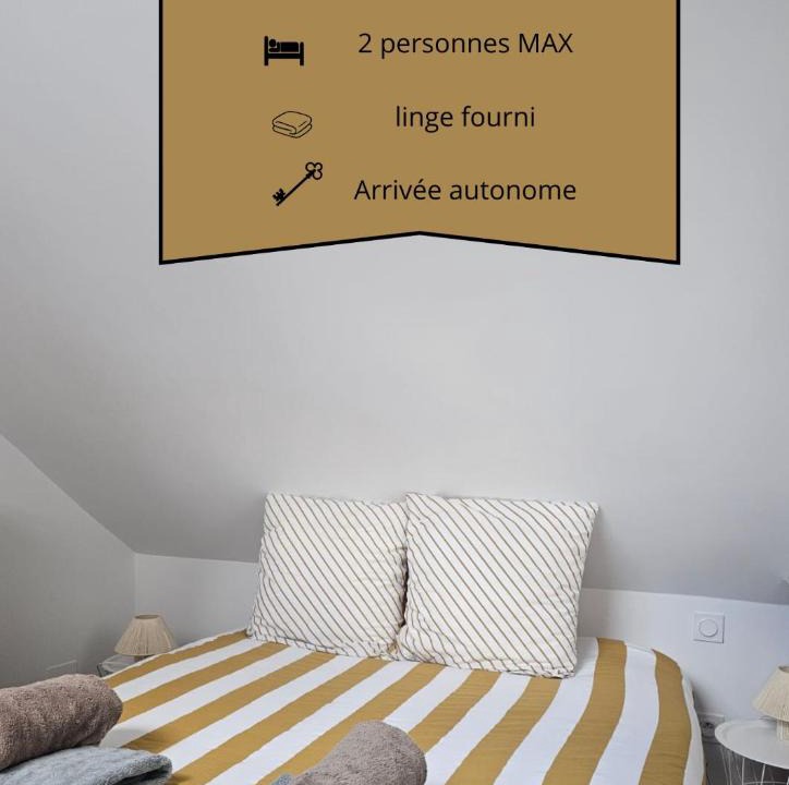 Chateau-Gontier Apartment | Le Ptit nid Cocon au cœur du centre ville