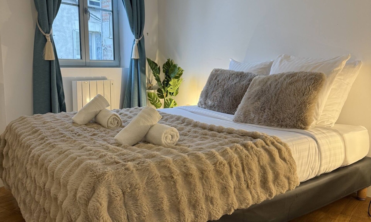 Romorantin-Lanthenay Apartment | Les 3 rois: Edina apartment Beauval and Châteaux