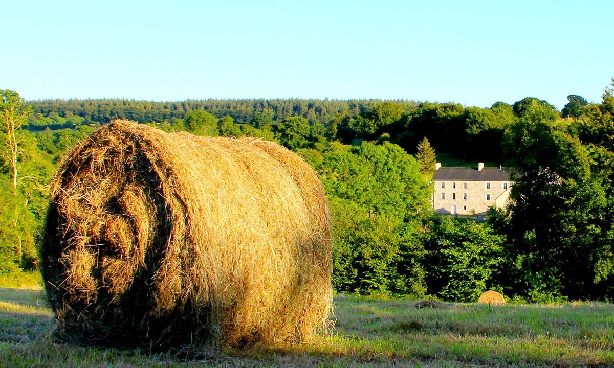 Saint-Sauveur-le-Vicomte House | Les Faisans cottage in beautiful countryside near uncrowded beaches