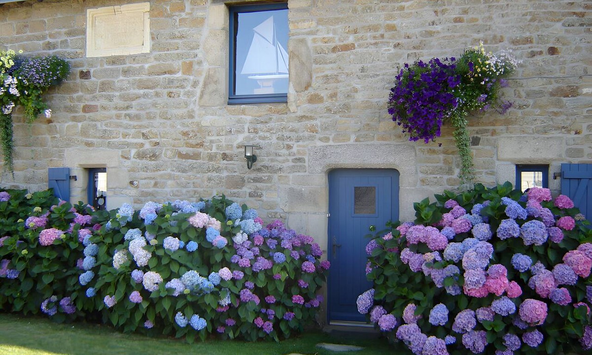 Sene House | Les Hortensias: Characterful 17th-Century House 300m from the Sea