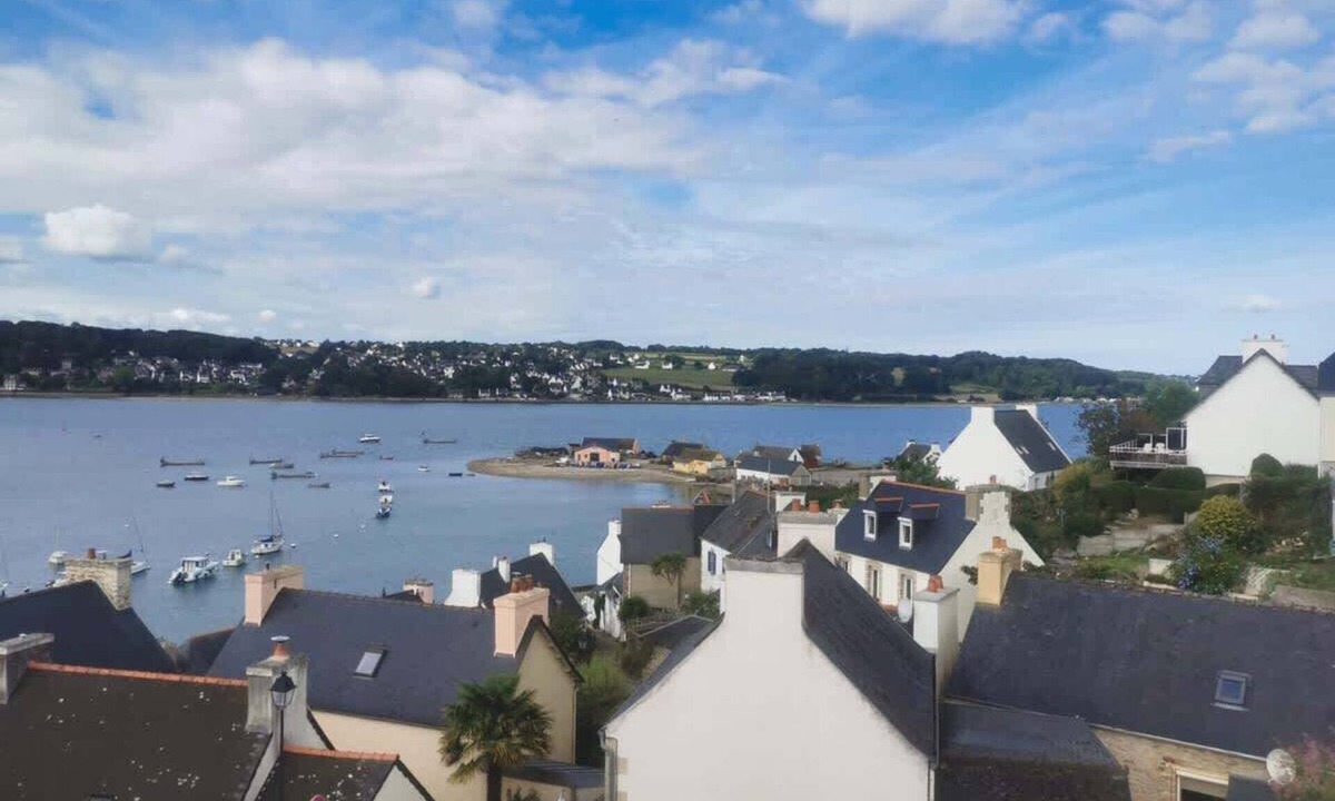 Plouezoch House | Les Hortensias - Maison vue mer Dourduff en mer