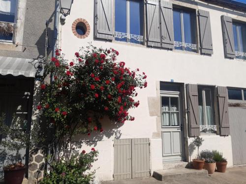 Charroux House | Maison de charme avec jardin clos et animaux admis à Charroux - FR-1-489-538