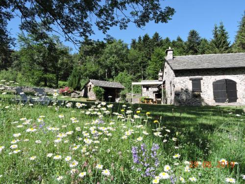 Queyrieres House | Maison isolée, au cœur des volcans, terrain clos, jeux, confort, cheminée, proche forêts et villages. - FR-1-582-285