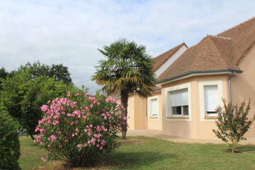 Fille House | Mili