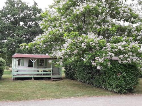 Nonette Other | Mobil home, animaux admis - 4 pers. - API-1-52-2683