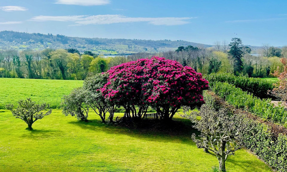 La Forest-Landerneau Apartment | Near Brest quiet 2 Bedroom apartment with view