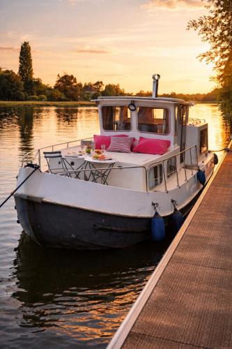 Saint-Jean-de-Losne Boat Rental | Penichette habitable max 4-5 pers terrasse vue sur l'eau ST JEAN DE LOSNE