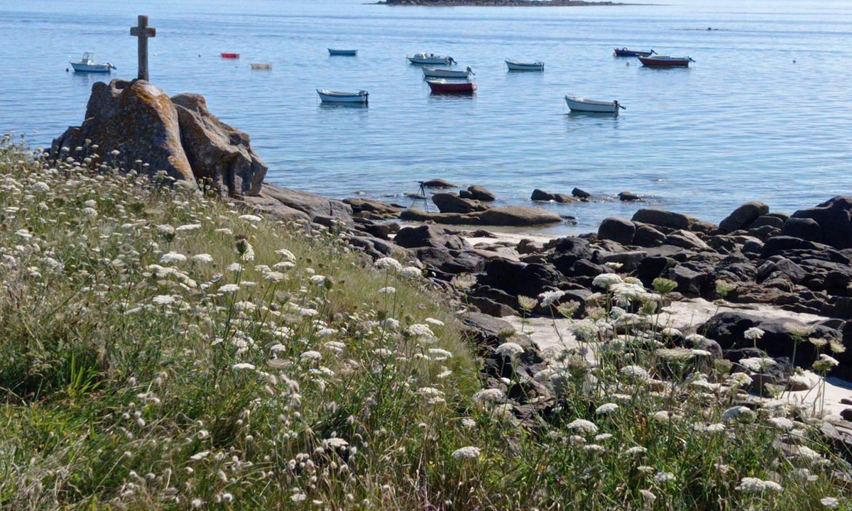 Plouneour-Trez House | Quiet house 300m from sandy beaches on the GR34, Côte des Légendes