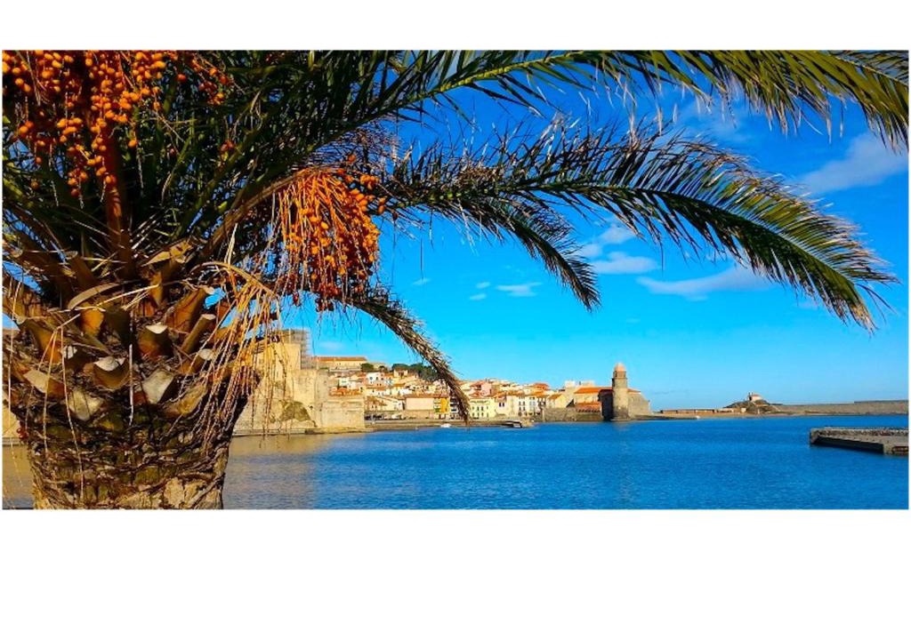 Collioure Apartment | Résidence du Soleil & Spa - Collioure