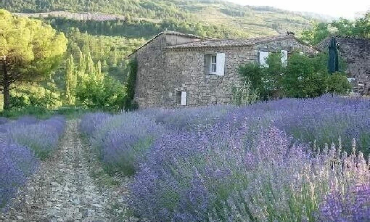 Sainte-Euphemie-sur-Ouveze House | Sheepfold restored In Provence near Vaison la Romaine and Mont Ventoux