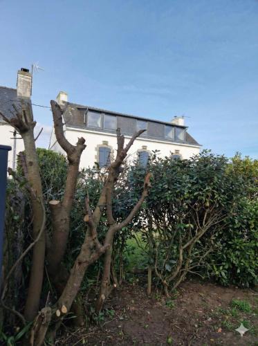 Clohars-Carnoet House | Spacieuse Villa - Bourg de Clohars, Plages à 5 min