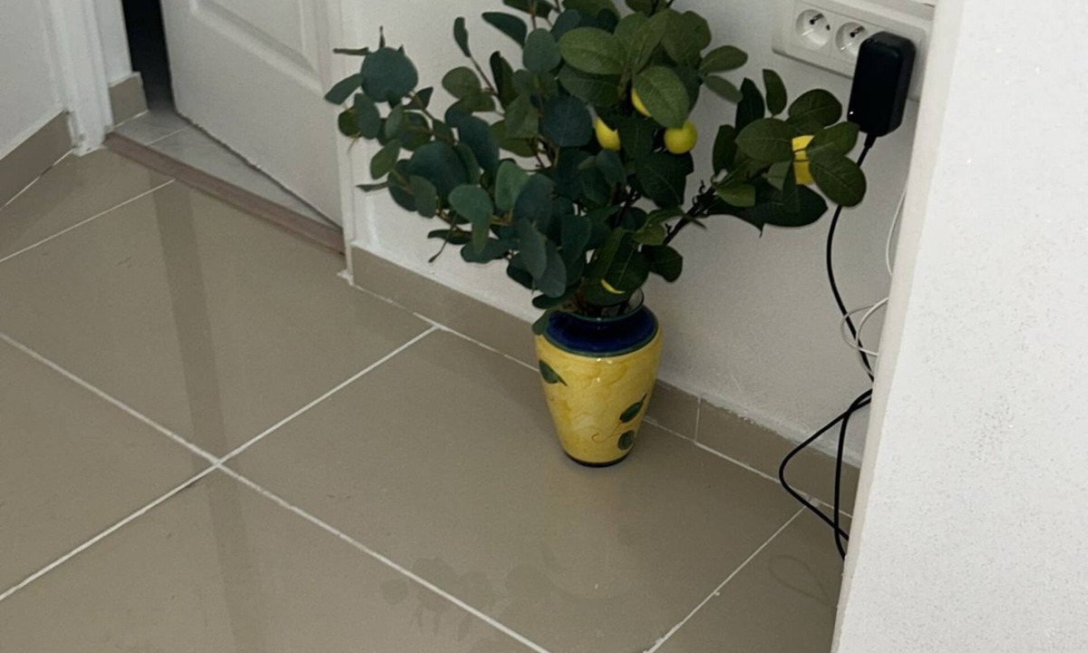 Argenteuil Condo | Spacious apartment 2 mn walk from argenteuil train station.