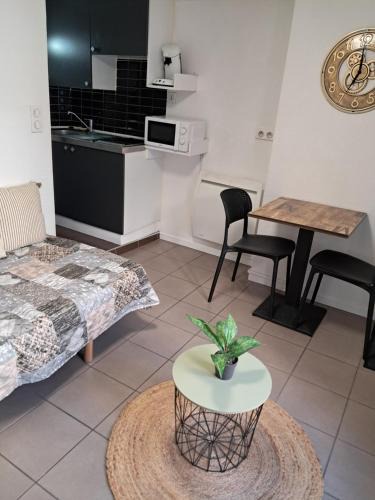Le Puy-en-Velay Apartment | STUDIO 1 personne dans le centre historique