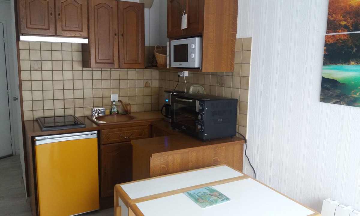 Bagneres-de-Luchon House | studio downtown, quiet with elevator and garage
