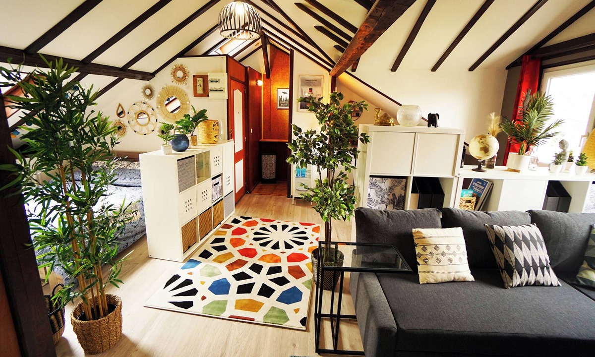 Anatole France Danton Apartment | Studio "Sous les Toits