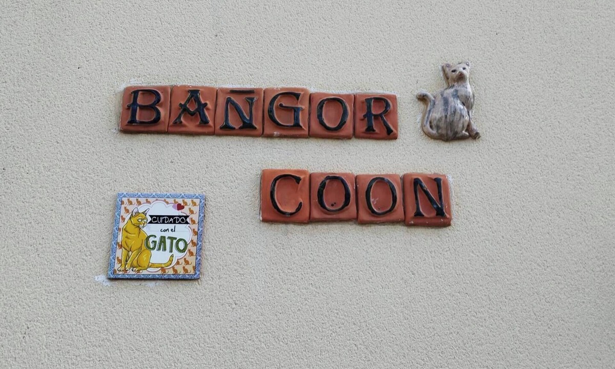 Forges Apartment | The Bangor Coon Duplex Vero