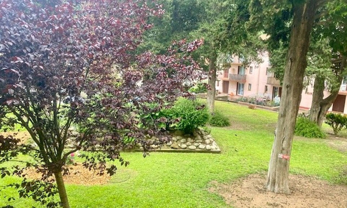 Amelie-les-Bains-Palalda Apartment | très bel F3 avec balcon
