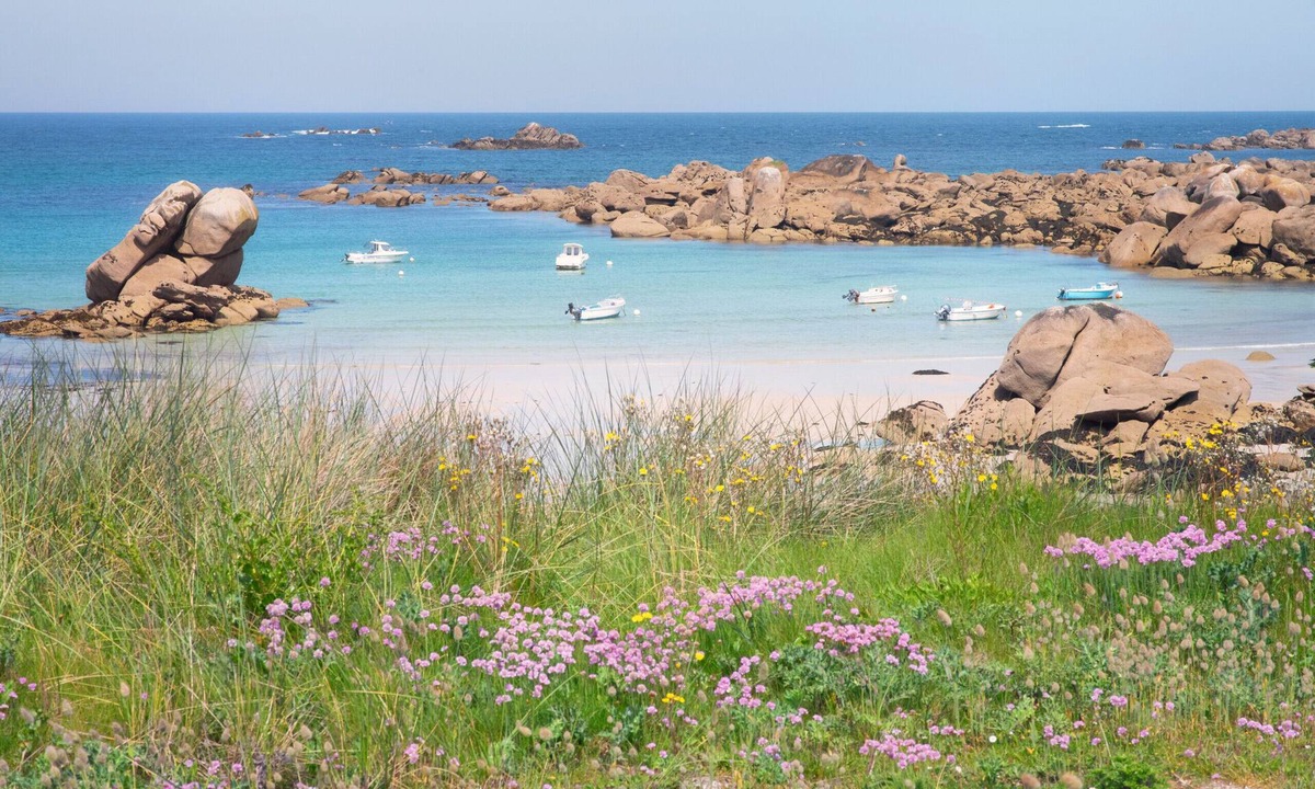 L'Aber Vrac'h Apartment | TY ABERIOU - Charming T2 close to Aber Wrach