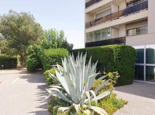 Les Arenes Apartment | Un Date Love au bord de la Piscine
