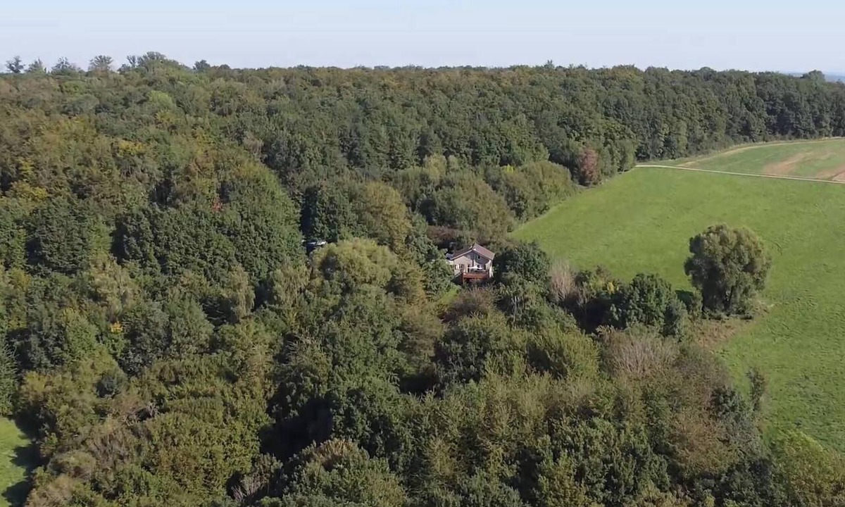 Spicheren House | Unique Viking-Themed Vacation Rental