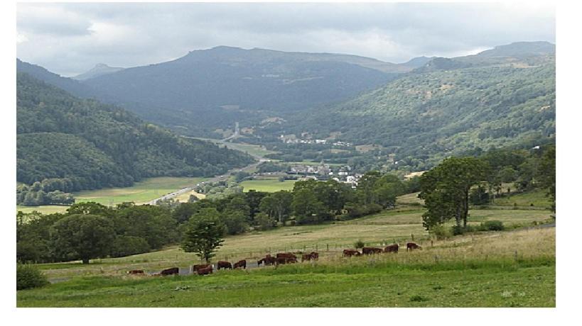 Laveissiere Apartment | Vacances au pied des Monts du Cantal