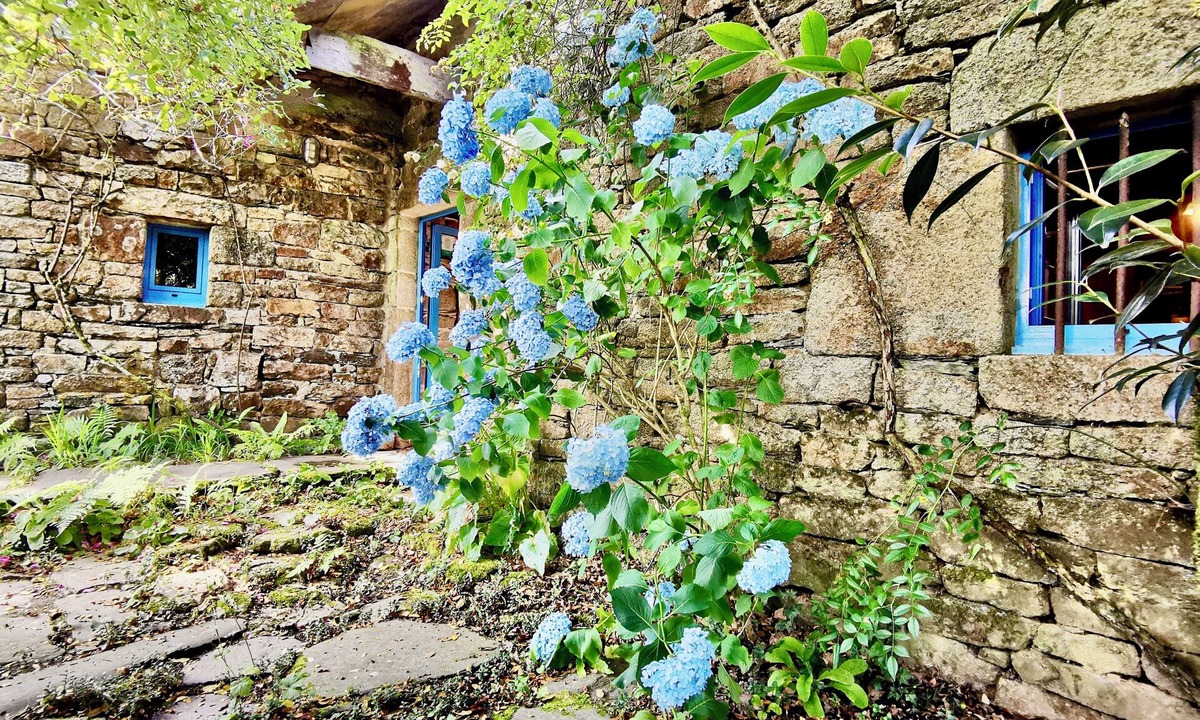 Botmeur House | Vacation Rental ⭐️⭐️⭐️. Authenticity in the Heart of the Monts d'Arrée - Finistère
