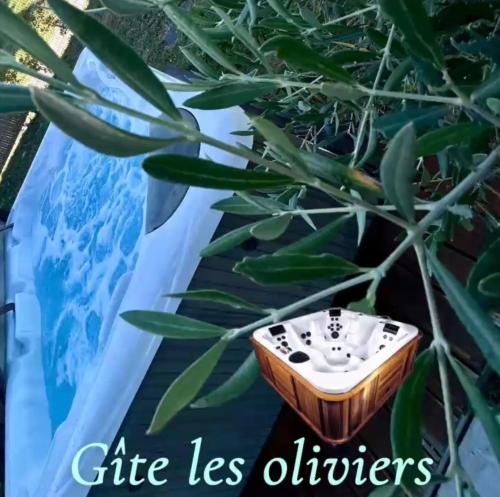 Lablachere Villa | Villa les oliviers