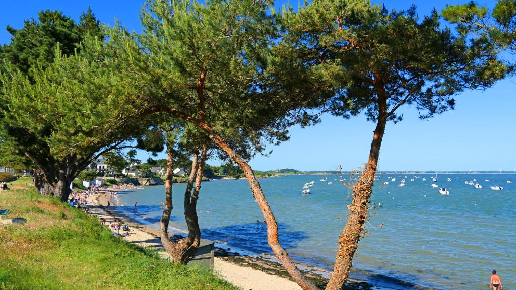 Kervoyal Apartment | Villa pecheur