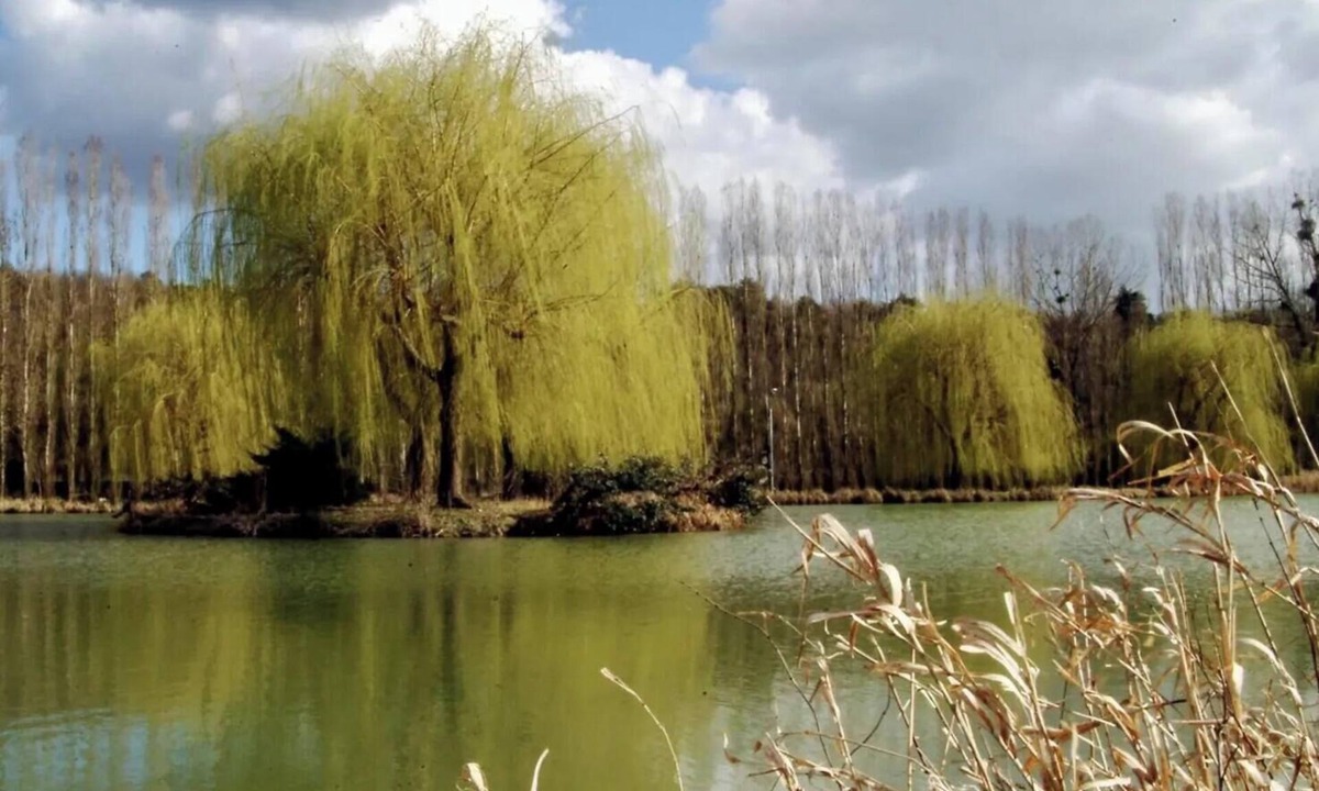 Bagneaux-sur-Loing House | ZEcamping 3 étoiles chiens acceptés roulotte 2 pers