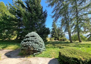 Chalet cosy à Saint-Michel-de-Chaillol, 10 personnes, 4 chambres, jardin, cheminée, animaux admis