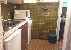 Cozy Ski-In/Ski-Out Studio, Mountain Views, Sleeps 8, Central Risoul