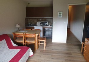 Studio 32m² au pied des pistes de ski à Corrençon - FR-1-515-100