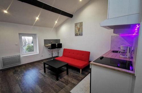 Chasse-sur-Rhone Apartment | Ô bon temps- Suite bien être