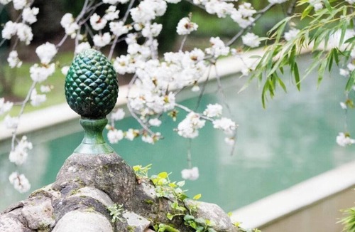 Saint-Hippolyte-du-Fort House | 18th-century house with pool near the Cévennes