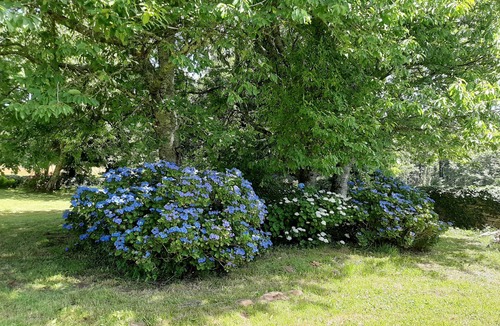 Concarneau House | 2km from the beach, charming family house totally refurbished in private area