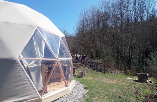 Saint-Julien-Labrousse RV Rental | 3 Domes: The Mush's Rooms Alpacas and Starry Nights