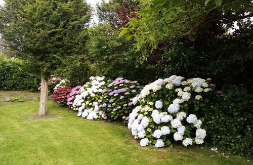 Trebeurden House | 3* renovated house, large garden, close to beaches