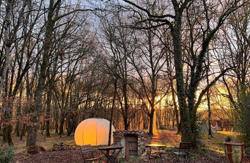 Montcabrier Other | Aire Naturelle Camping Domaine de Mombret Haut