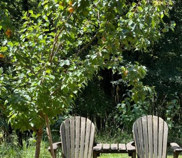 Montcabrier Other | Aire Naturelle Camping Domaine de Mombret Haut