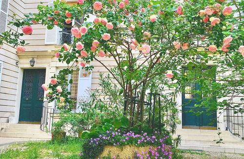Latin Apartment | An oasis of tranquility in the heart of Paris: central, quiet, completely safe