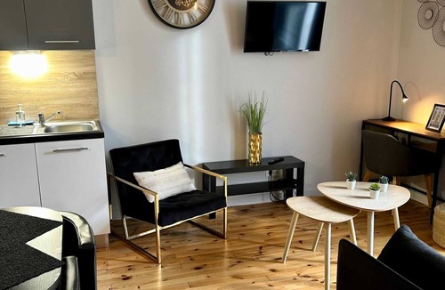 Chatel-Guyon Apartment | Apartment 4 persons air-conditioned 1 bedroom + sofa bed Puy de Jumes A03